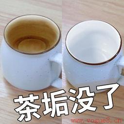 茶杯里的茶垢怎么去除？