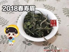 白茶饼干茶怎么泡