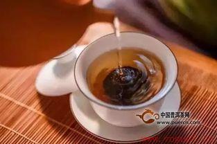 小青柑普洱茶怎么泡才最好喝