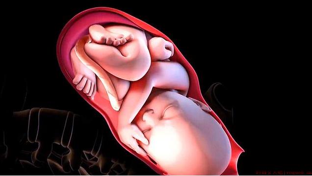 胎儿是怎么从狭窄的产道出来的