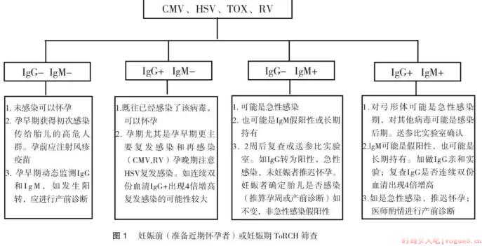 torch检查为什么要孕前做 torch检查的作用