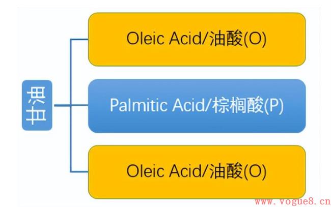 如何帮宝宝挑选一款适合的奶粉