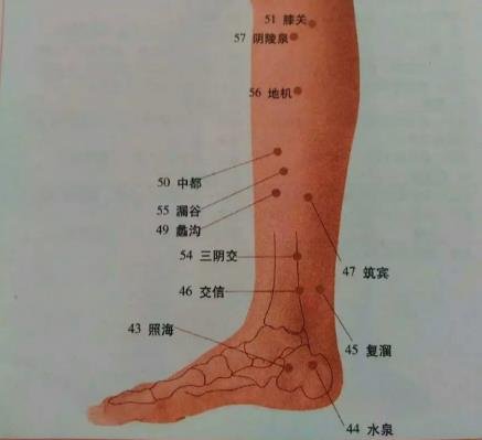 三伏贴贴敷部位图，三伏贴的准确穴位图